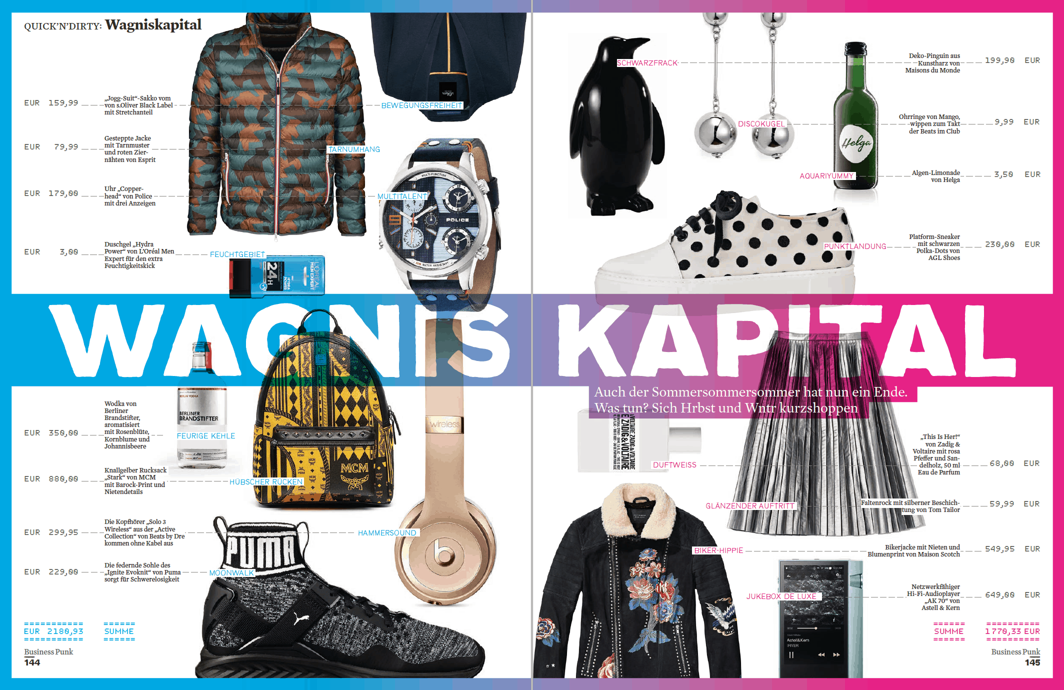 Wagnis-Kapital 5/2016 (für Business Punk)