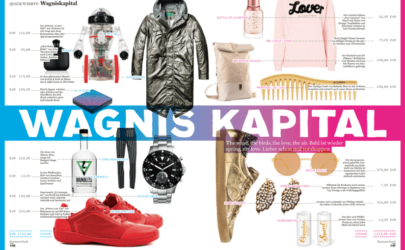 Wagnis-Kapital 1/2017 (für Business Punk)