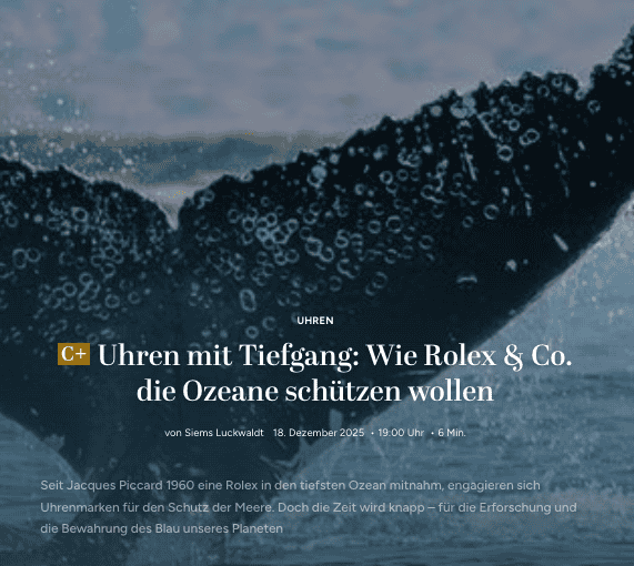 Wie Rolex & Co. die Weltmeere schützen helfen (für Capital.de)